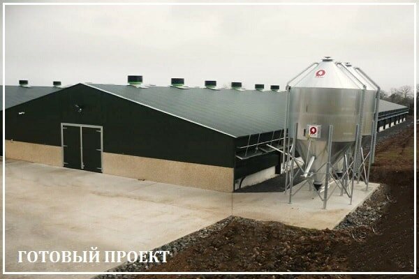 Этапы возведения птицефабрики от завода ВелесТент-шкр
